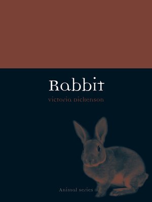 cover image of Rabbit